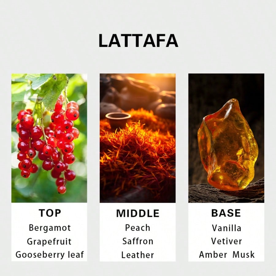 Hayaati Gold Elixir para hombr - Perfume Fragrances reseña y precio
