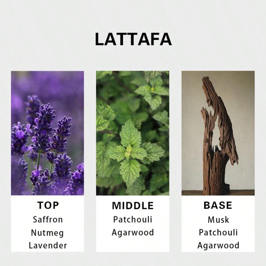 Lattafa Badee Al Oud For Glory - Perfume Fragrances reseña y precio