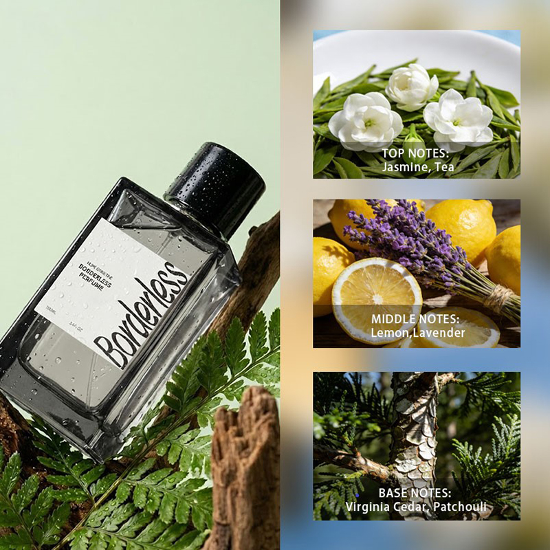 Perfume Masculino de Lujo Sin  - Perfume Jasmine Fragrance reseña y precio